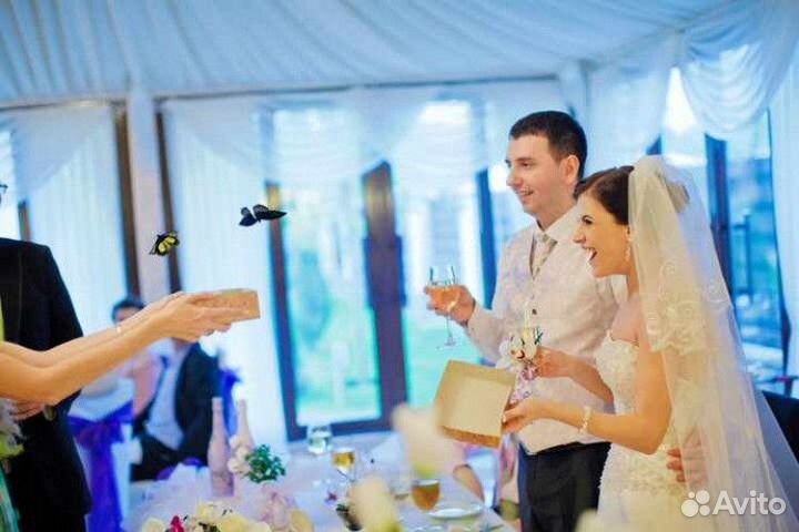 Свадебный салют из живых тропических бабочек