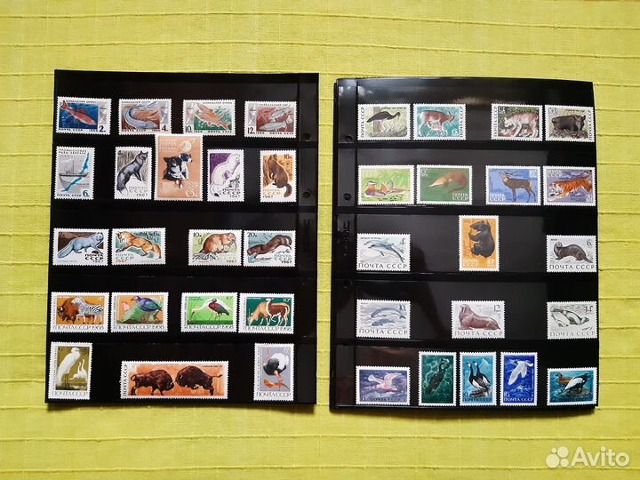 Почтовые марки СССР Фауна