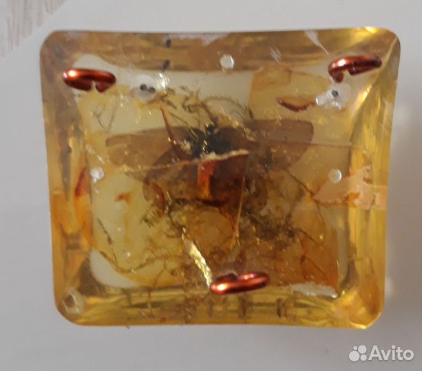 Насекомые в эпоксидной смоле. Винтажная штучка