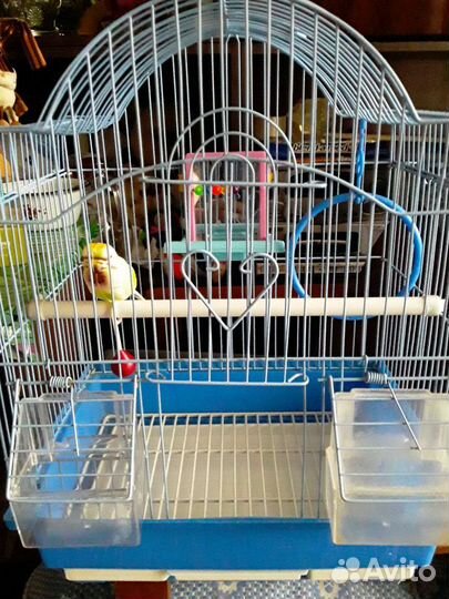 Клетка для попугая