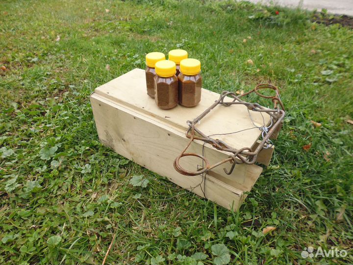 Приманка на куницу