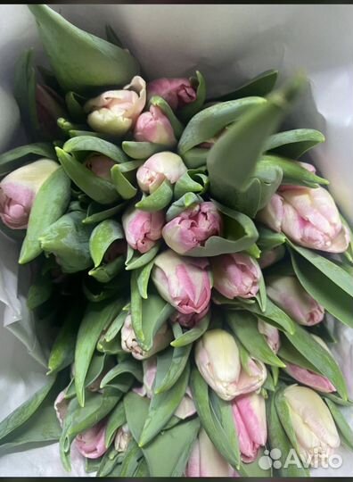 Букет из тюльпанов