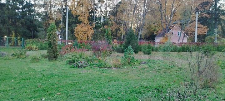 Участок 10 сот. (ИЖС)