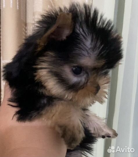 Детки ждут своих родителей