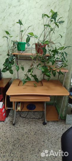 Компьютерный стол бу