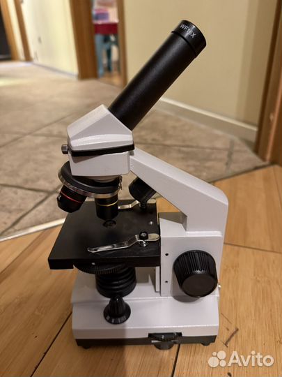 Микроскоп Levenhuk Rainbow 2L plus