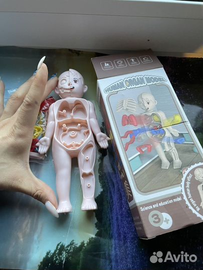 Игровой набор тело человека