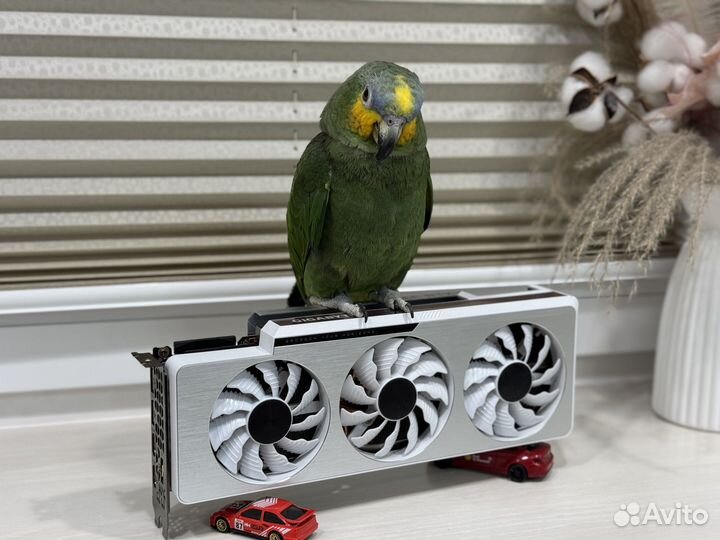 RTX 3090 Gigabyte Vision OC 24Gb / обмен, trade-in