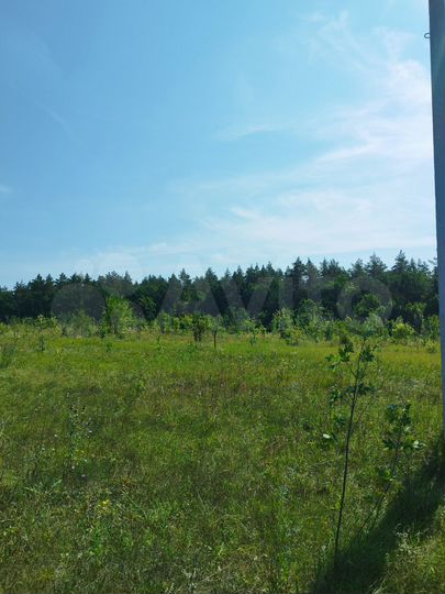 Участок 11 сот. (ИЖС)