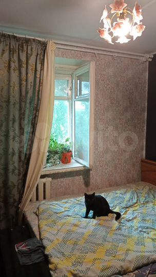 2-к. квартира, 50,1 м², 2/5 эт.