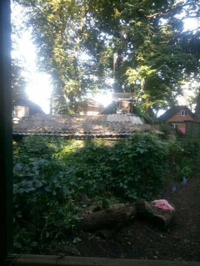 Дача 30 м² на участке 1 сот.