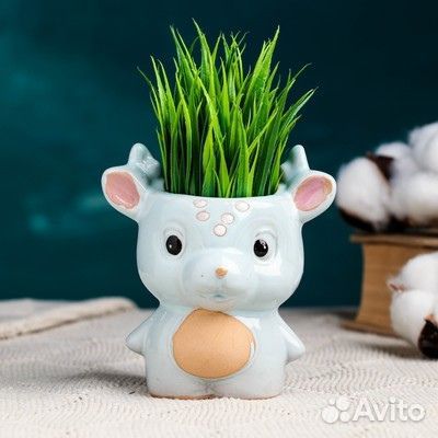 Керамические горшки для цветов и суккулентов