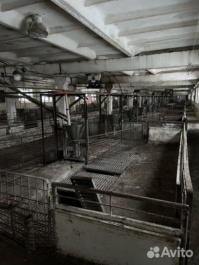 Решетка щелевая для свинарника