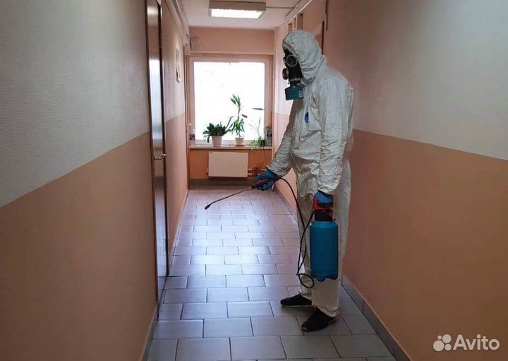 Обработка от тараканов Уничтожение клопов Травля