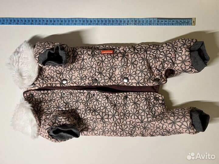 Одежда для собаки джек рассел