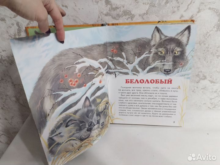 Большая волчья книга