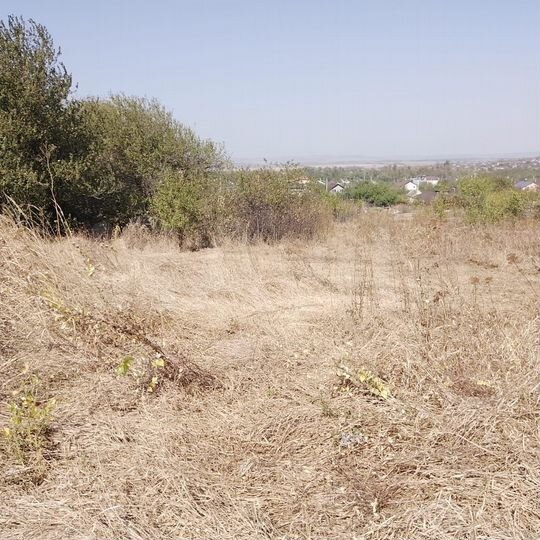 Участок 5,8 сот. (СНТ, ДНП)