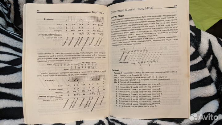 Соло гитара в стиле Heavy Metal (книга+CD)