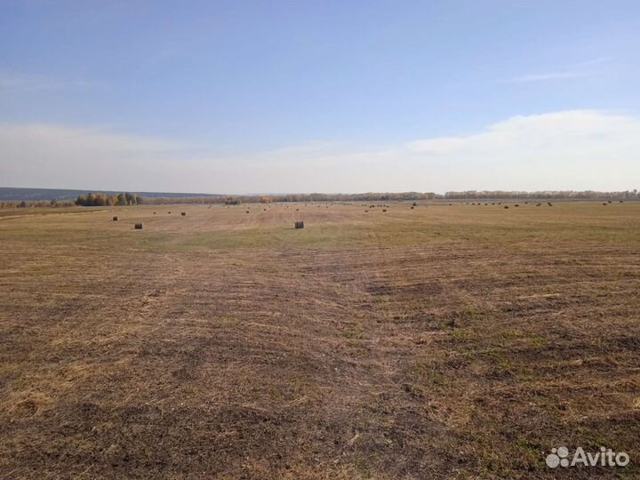 Сено в рулонах 2023