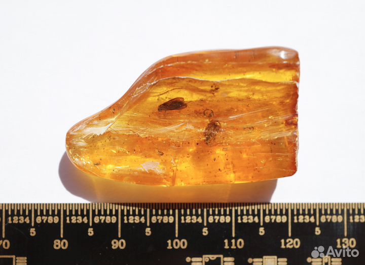 Натуральный балтийский янтарь с включением ручейни