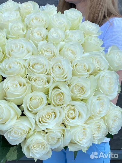 Букеты из 101 розы 51шт 25шт 35шт розы доставка