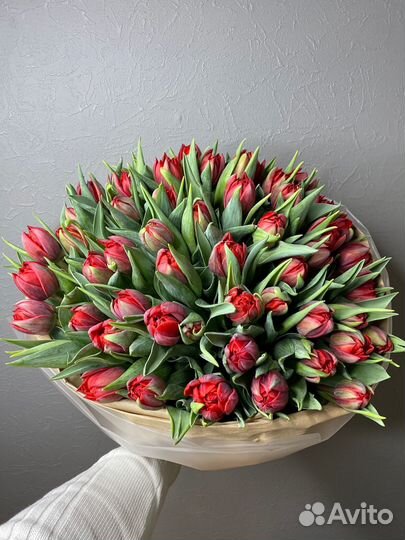 Цветы тюльпаны пионовид букет тюльпанов доставка