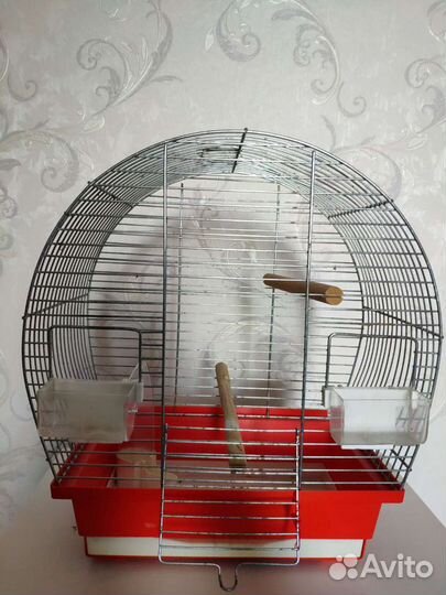 Клетка для попугая бу