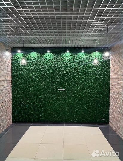 Панно из стабилизированного мха