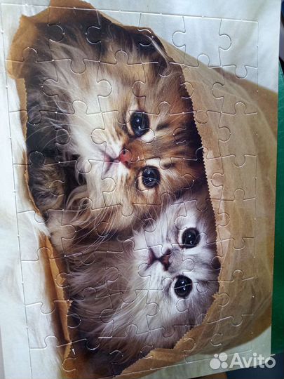 Книга пазл про котят богатое издание