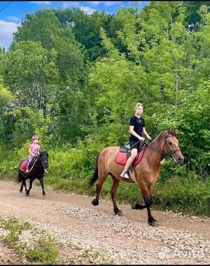 Прогулка на лошади