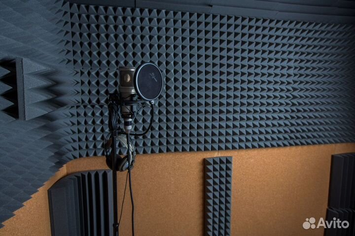 Микрофон rode classic 2