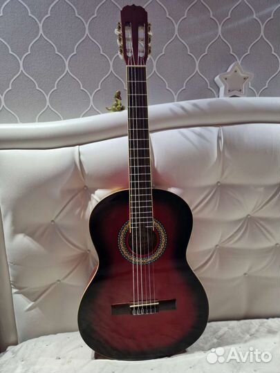 Гитара Euphony EC-100twrs