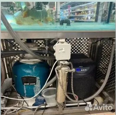 Аквариум для продажи живой рыбы