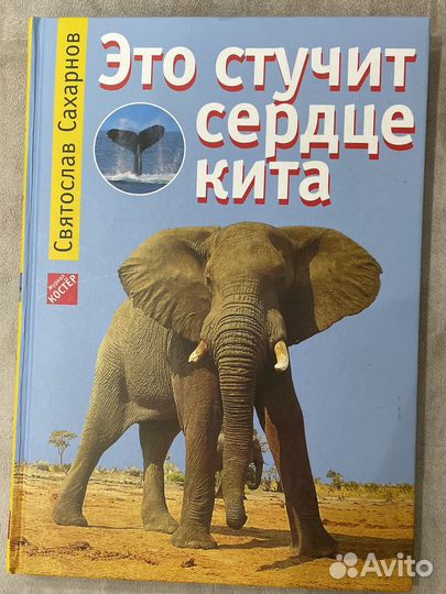 С.Сахарнов.Это стучит сердце кита
