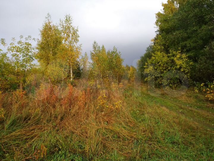 Участок 91 га (СНТ, ДНП)