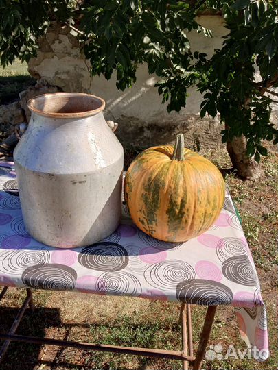 Семена штирийской тыквы