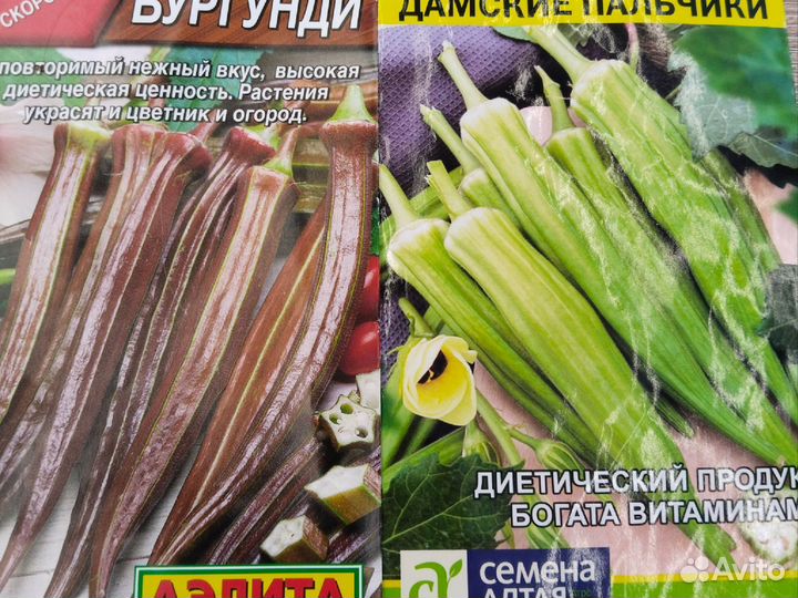 Рассада Бамии