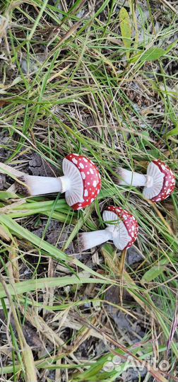 Брошь значок мухомор грибы ручная работа