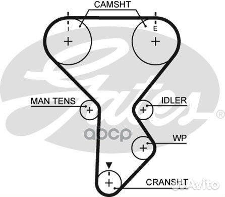5287XS 77168x1 Ремень грм 5287XS Gates