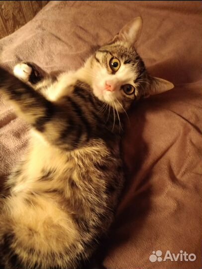 В самые добрые ручки