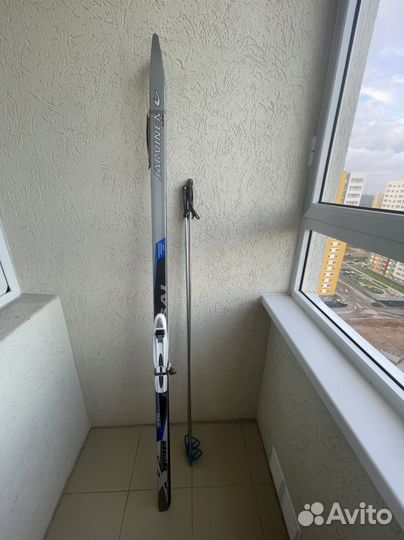 Беговые лыжи