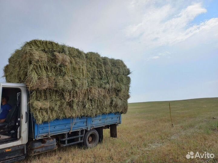 Сено луговое в тюках