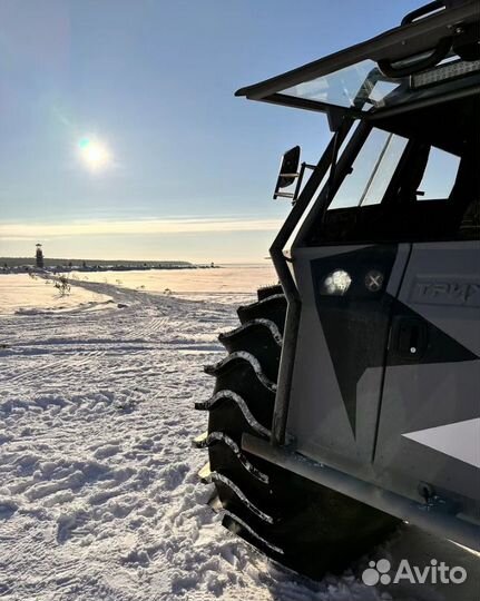 Вездеход Триумф 2.4