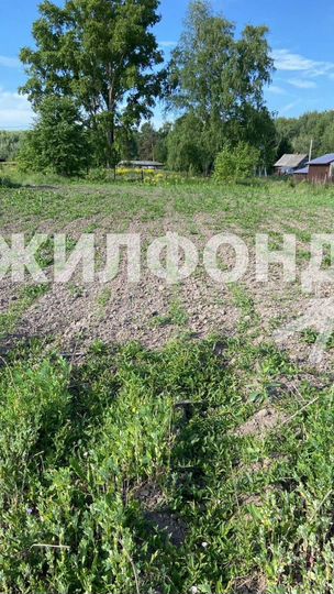 Участок 12 сот. (СНТ, ДНП)