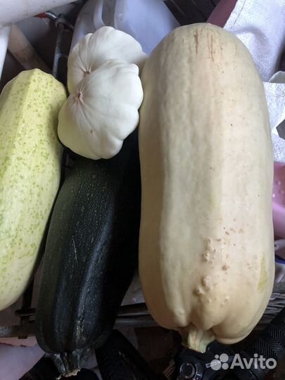 Продажа домашних овощей