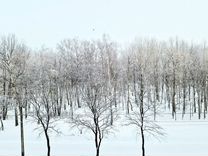 журнал пожарного инструктажа 806 приказ. приказ мчс рф от 18 ноября 2021 г. 18 ноября 2021 года no 806. 07. 18 ноября 2021 года no 806.