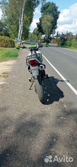 Рейсер пантера 250