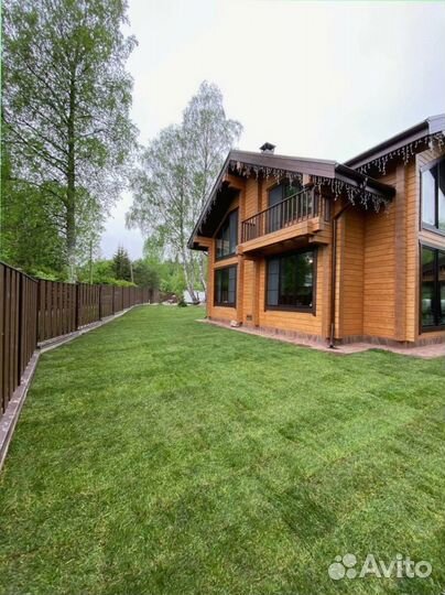 Газон в рулонах, элитные сорта