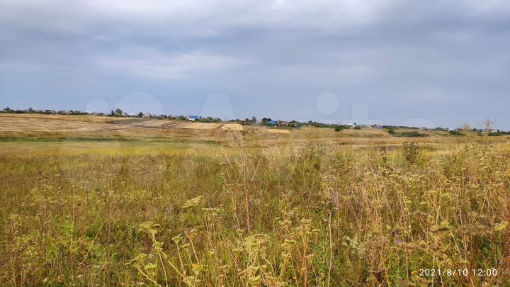 Участок 81 га (промназначения)