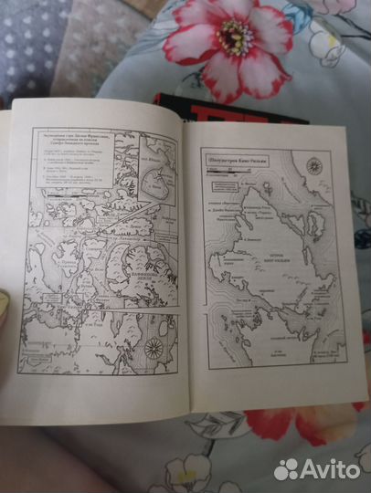 Дэн Симмонс Террор